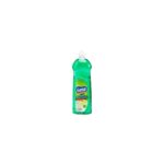 Ganso Lime Dishwashing Liquid 1L